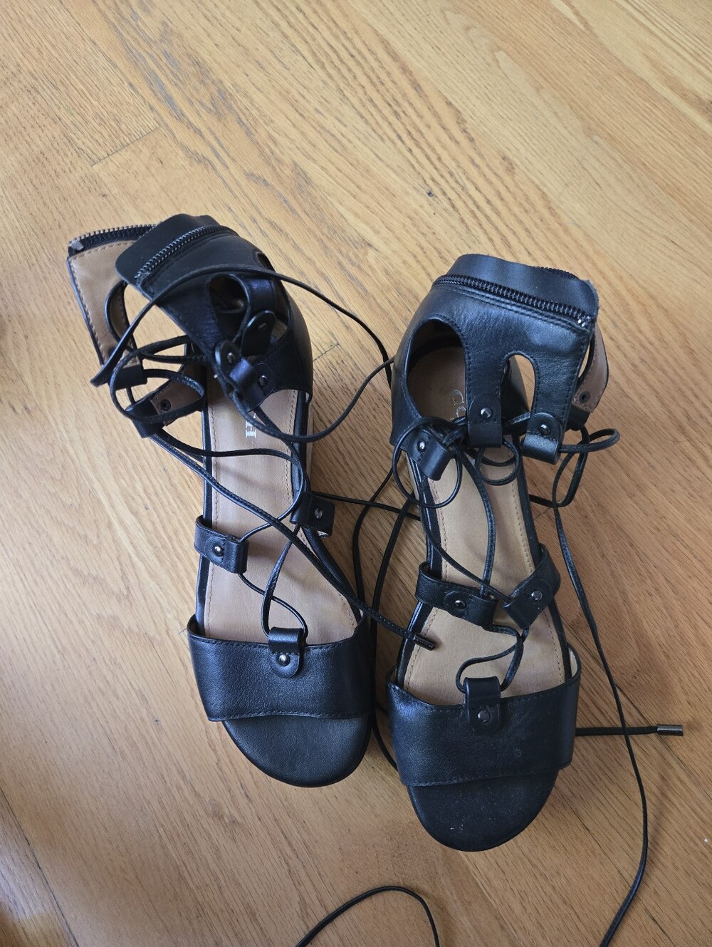 Coach Shoes